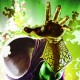 Mysteriodu85