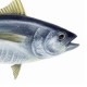 Atun