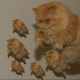 afmtgn