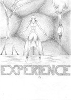 Experience: cover