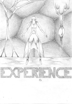 Experience : manga portada