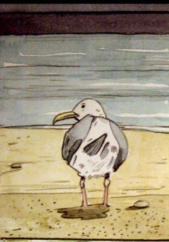 Gull : comic cover